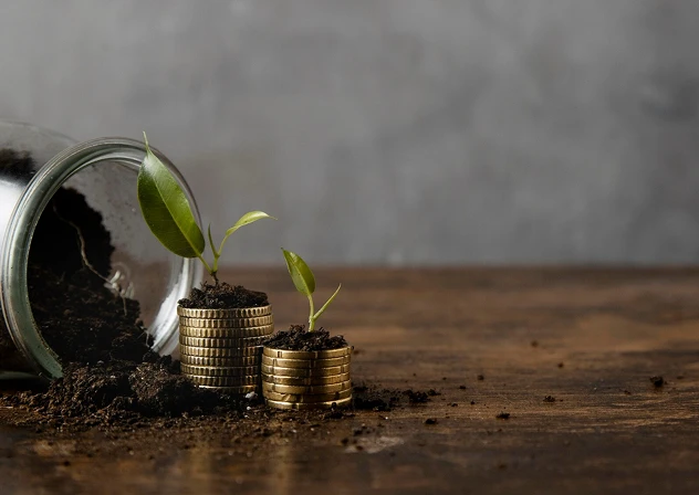 Coins Growing Plants Investment
